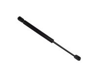 8731L9-Amortecedor do Porta Malas