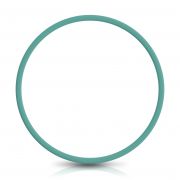 153124-Anel de Vedacao da Bomba de Combustivel - Pequeno