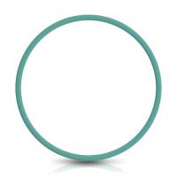 153124-Anel de Vedacao da Bomba de Combustivel - Pequeno