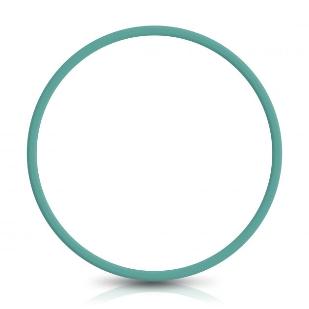 153124-Anel de Vedacao da Bomba de Combustivel - Pequeno