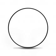 Anel Oring da Bomba de Oleo/ Cambio AL4