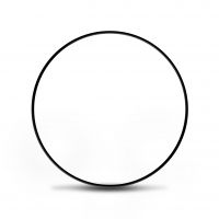 Anel Oring da Bomba de Oleo/ Cambio AL4