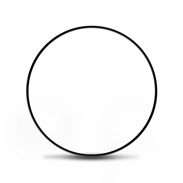 Anel Oring da Bomba de Oleo/ Cambio AL4