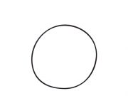 Anel Oring da Bomba de Oleo/ Cambio AL4