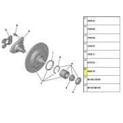 Anel do Sensor do ABS - Traseiro