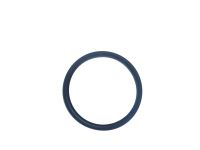 133983-Anel Oring da Flange do Coletor de Agua