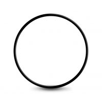 231253-Anel Oring da Tampa do Pistao do Cambio Automatico AL4 - Pequena