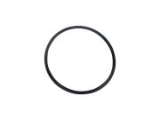 120696-Anel Oring de Vedacao da flange da bomba d'agua