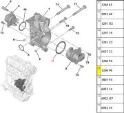 120696-Anel Oring de Vedacao da flange da bomba d'agua