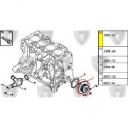 Bomba de Agua - 20 Dentes