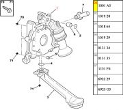 1001A5-Bomba de Oleo Completa