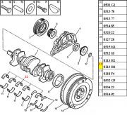 0113H2-Bronzina da Mancal - STD