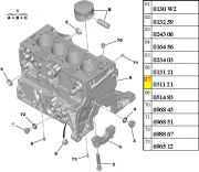 031140-Bujao do Carter - Medida 14x150