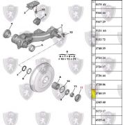 Calota do Cubo da Roda