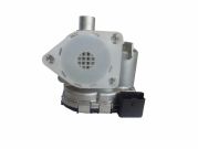 Corpo da Borboleta - TBI