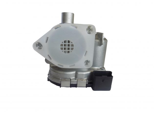 Corpo da Borboleta - TBI