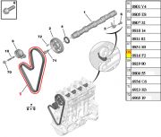 Correia dentada 104 dentes Peugeot 106 206 1.4 8 Citroen C3 1.4 2003/...