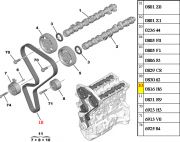 0816H6-Correia Dentada - 134 Dentes