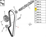 Correia Dentada 114 dentes Peugeot 306 405 Partner Citroen Berlingo 1.8 8v 2.0 8v 1993/...