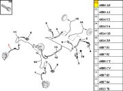 548677-Flexivel de Freio Dianteiro