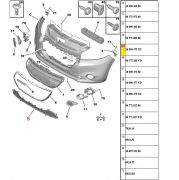 Grade do Parachoque Central