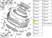 Grade do Parachoque Central