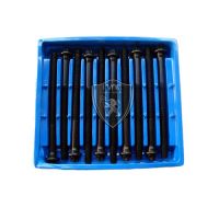 013218-Jogo de parafuso do Cabecote