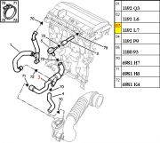Mangueira do Respiro do Oleo - Formato em "Y"