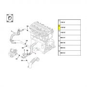 Mangueira do Respiro do Oleo