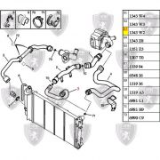 1343W2-Mangueira Superior do Radiador - Sem Engate