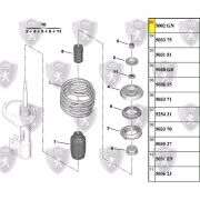 Mola Suspensao Dianteira