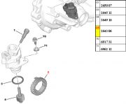 264306-Engrenagem do Sensor de Velocidade - 21 Dentes
