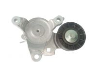 5751G8-Tensionador da Correia do Alternador