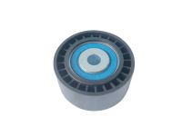 1611422980-Tensor da Correia do Alternador