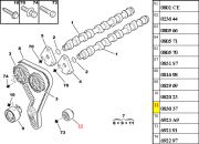083063-Tensor Fixo da Correia Dentada/ Medida 60x34