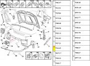 Trava do Capo - Inferior