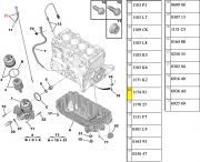 117493-Vareta do Nivel de Oleo